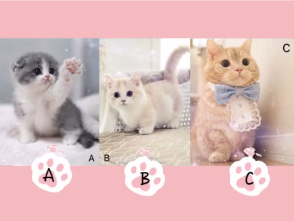 Trắc nghiệm vui: Bạn có muốn biết điều người khác nghĩ về bạn nhưng không nói ra?