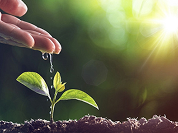 Những bài học cuộc sống mà chúng ta học được qua thời gian