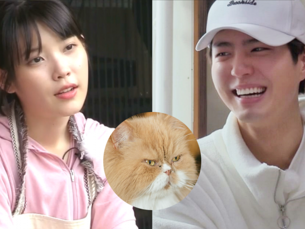Show “Hyori’s Bed & Breakfast” có một nhân vật ghét IU ra mặt, nhưng lại yêu quý Park Bo Gum 