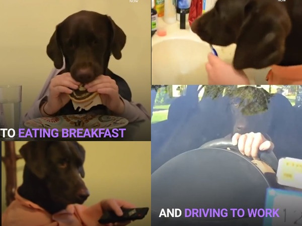 Ngã té xỉu trước màn hóa thân của đại boss