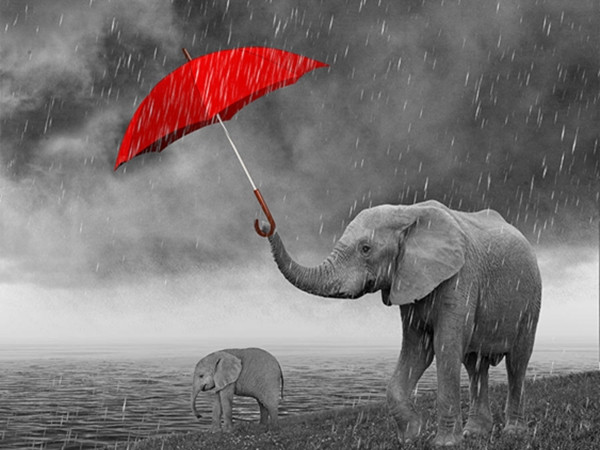 Bạn được yêu thương trong mọi hoàn cảnh, và đó mới là điều quan trọng nhất