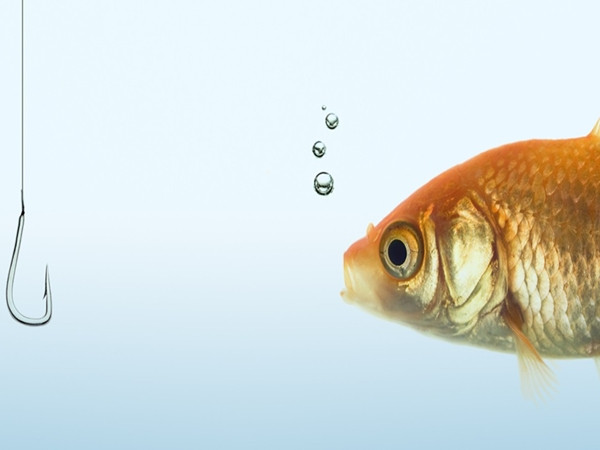 Bạn có biết con cá bị mắc câu cảm thấy thế nào không?