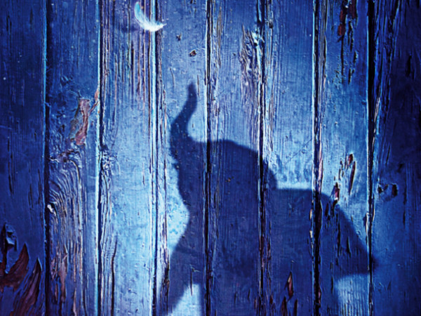 Nếu đang thiếu tự tin vào bản thân, những bộ phim này sẽ xốc lại tinh thần bạn