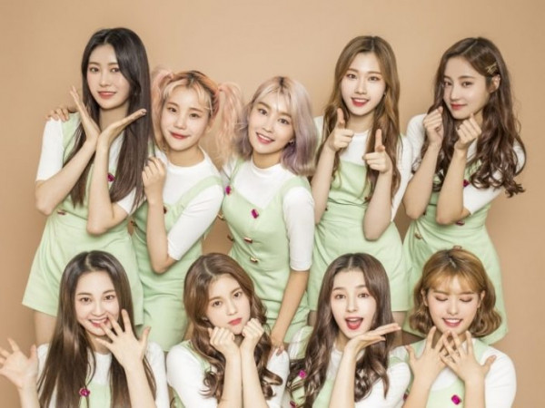 Công ty quản lý của Momoland phủ nhận việc gian lận doanh số album