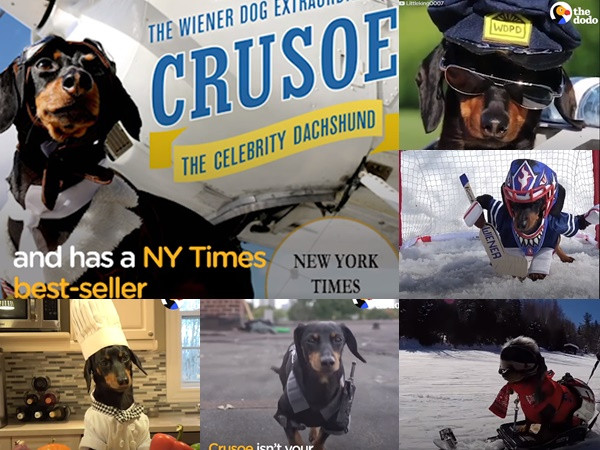 "Quan trọng là thần thái" - Bí quyết trở thành ngôi sao mạng xã hội của "Đại boss"