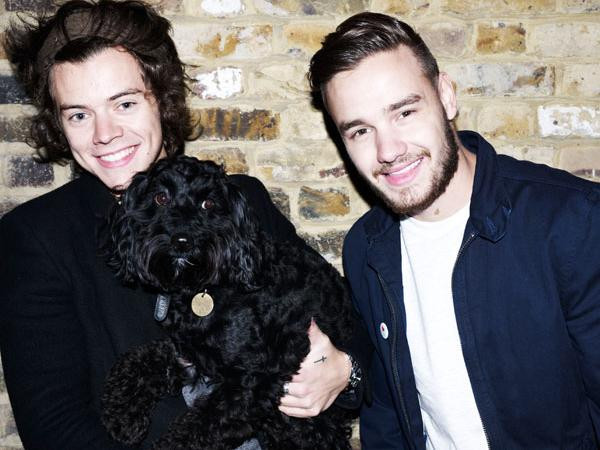 Harry Styles mong chờ được làm cha đỡ đầu cho bé trai kháu khỉnh của Liam Payne