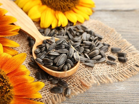 Tết này "hậu duệ mặt trời" có thêm nhiều vị mới ngon lạ để bạn tha hồ thưởng thức