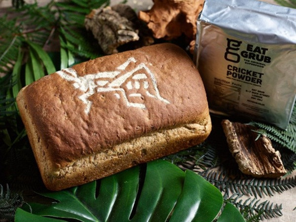 Kỳ lạ món bánh mì làm từ 336 con dế ở Anh, bạn có dám thử?