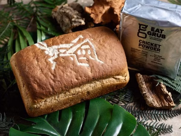 Kỳ lạ món bánh mì làm từ 336 con dế ở Anh, bạn có dám thử?