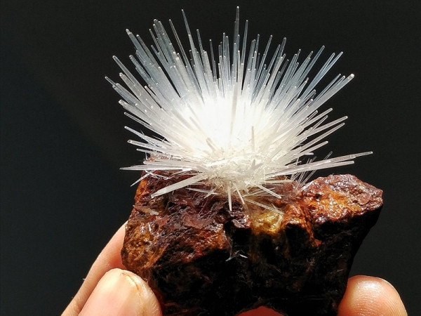 Teen rủ nhau nhập “hội phụ huynh” nuôi những “em bé” tinh thể đẹp xinh lấp lánh