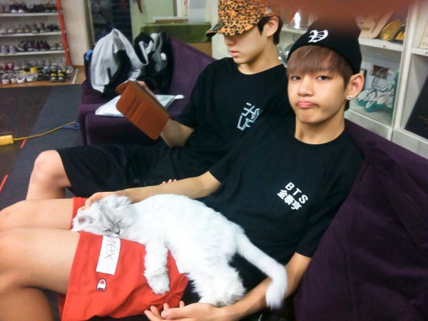 Ngoài Rapmon của Rap Monster, gia đình BTS còn rất nhiều "thành viên" bốn chân siêu đáng yêu
