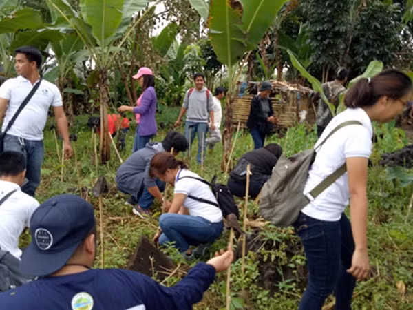 Học sinh, sinh viên phải trồng cây mới được tốt nghiệp
