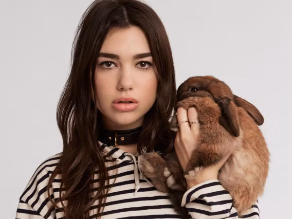Dua Lipa: Từ nàng mẫu vô danh đến ngôi sao âm nhạc thế hệ mới