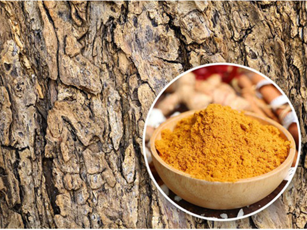 Những "thực phẩm" khó tin được con người "xơi" hàng ngày