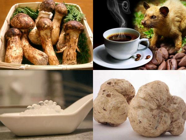 Bạn đã bao giờ được thử một trong những món ăn vặt quý hiếm nhất thế giới chưa?