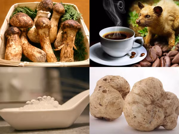 Bạn đã bao giờ được thử một trong những món ăn vặt quý hiếm nhất thế giới chưa?
