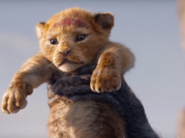 "Lion King" bản live-action tung trailer: Tưởng không hay mà hay không tưởng!
