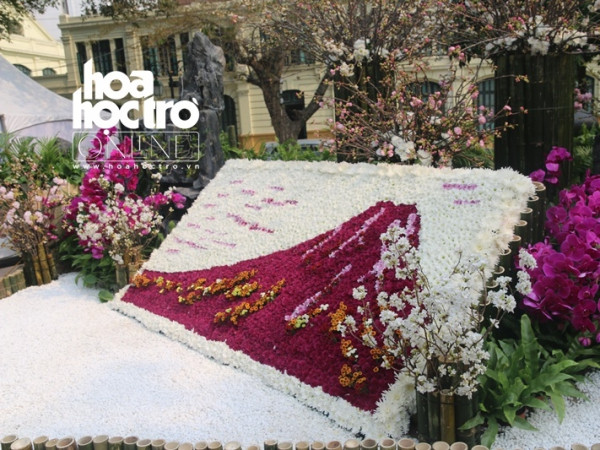 Hà Nội: Giới trẻ hào hứng tạo dáng trong "Lễ hội hoa anh đào" dịp cuối tuần 