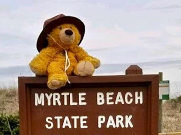 Cuộc phiêu lưu thú vị của một chú gấu bông bị bỏ quên