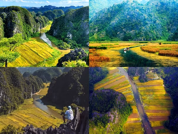 Hè này, bạn đã thử leo lên đỉnh Hang Múa và ngắm trọn "mùa vàng Tam Cốc"?