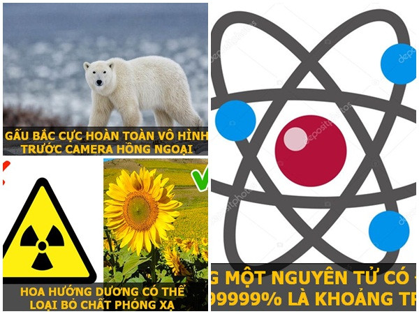 Khám phá nhanh những sự thật khoa học thú vị sẽ khiến bạn phải bất ngờ!