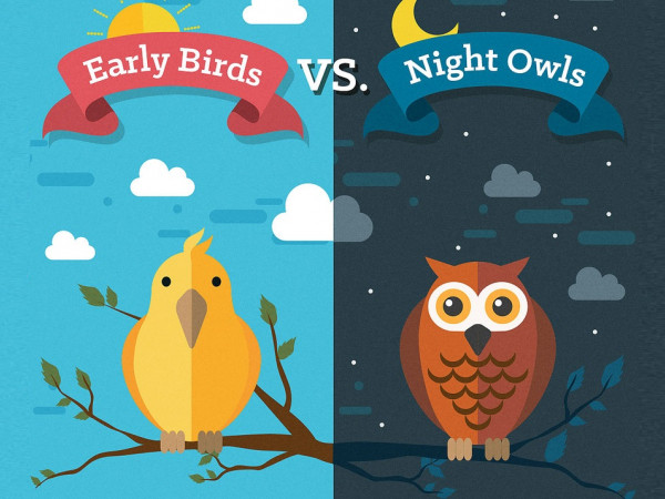 Dù là “cú đêm thức khuya” hay “chim sâu dậy sớm” đều có ưu điểm nhất định 