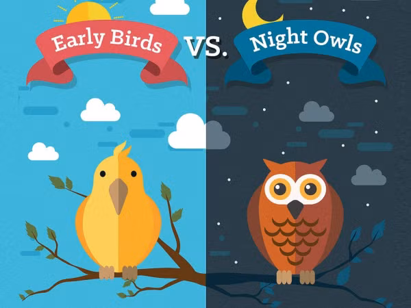 Dù là “cú đêm thức khuya” hay “chim sâu dậy sớm” đều có ưu điểm nhất định 