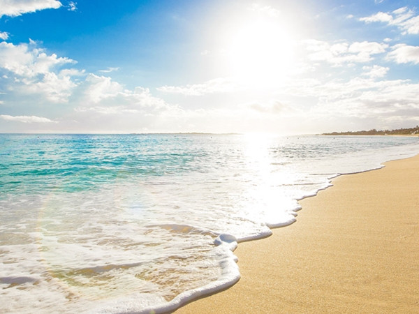 Một chú chim choắt bé nhỏ dạy chúng ta về tình yêu thương