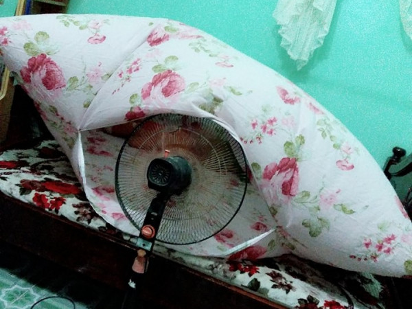 Cách chống nóng "cây nhà lá vườn" được dân mạng thích thú học theo