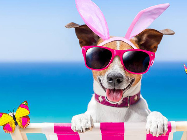 Horoscope tuần: Những ngày Hè chói chang của bạn có khởi đầu gì đặc biệt?