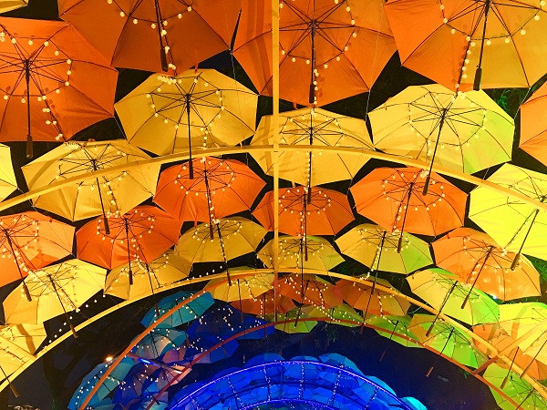 TP.HCM: Teen đổ xô đi chụp hình sống ảo tại vườn hoa Xuân Phú Mỹ Hưng