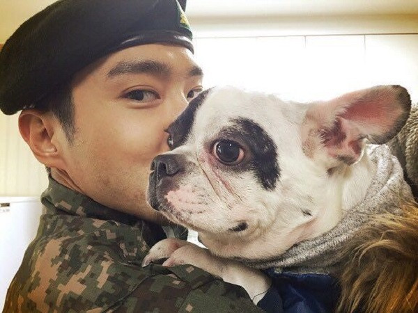 Cư dân mạng tìm được bằng chứng cho thấy trước đây chó cưng của Siwon đã từng cắn người
