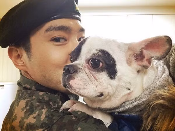 Cư dân mạng tìm được bằng chứng cho thấy trước đây chó cưng của Siwon đã từng cắn người
