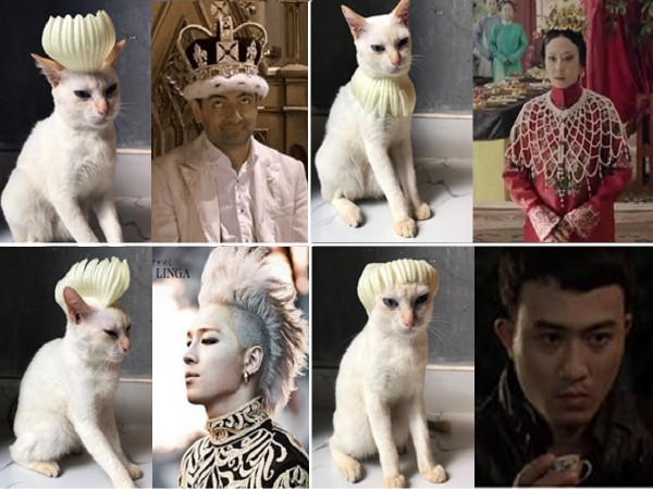 Tấm gương "boss" tận tâm: Hợp tác "diễn sâu" để "sen" đem ra cosplay 12 style 12 cá tính!