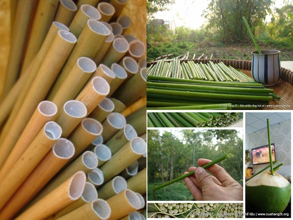 Chàng trai Việt gây chú ý với sáng kiến ống hút cỏ 