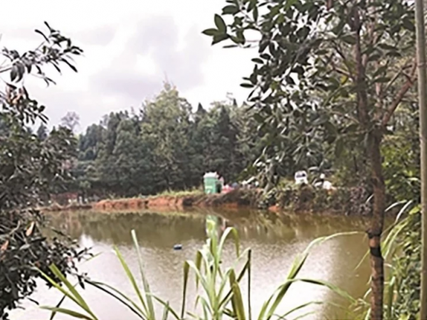 Giả chết để lừa tiền bảo hiểm, người đàn ông phát hiện ra vợ cùng các con đã tự vẫn