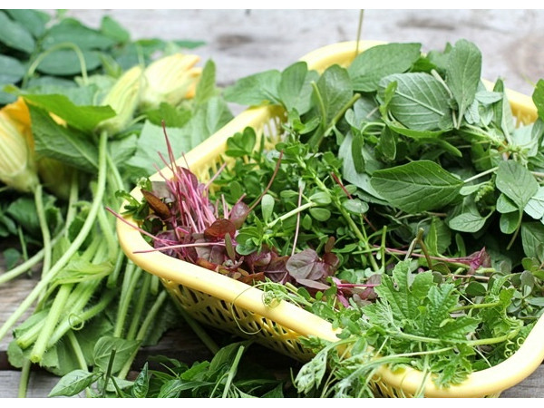 Những mốc thời gian hạnh phúc: Nhớ rau tập tàng mẹ nấu