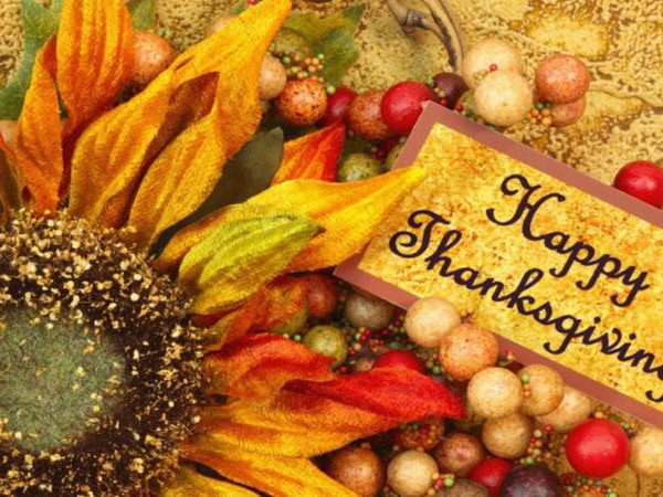 Tiếng Anh rất dễ: Điều quan trọng nhất trong ngày Lễ Tạ Ơn có thể bạn chưa hiểu rõ