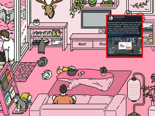 Hơn cả một tựa game, Adorable Home còn là câu chuyện xúc động giữa chàng trai và cún cưng vừa mất