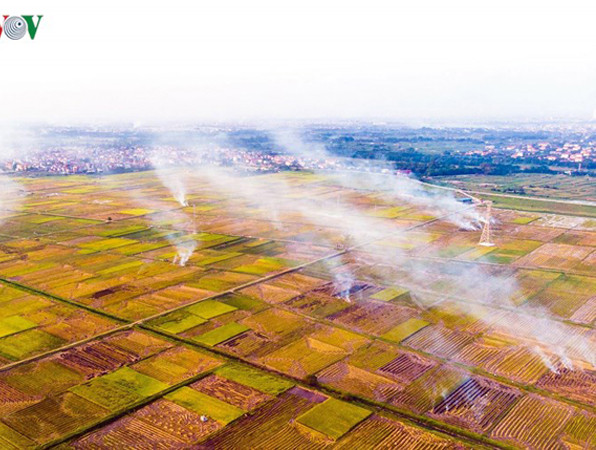 Khói đốt rơm rạ bủa vây ngoại ô Hà Nội