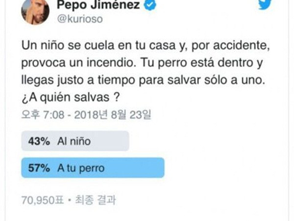 Câu hỏi gây tranh cãi nhất hôm nay: Bạn cứu ai giữa đứa bé và chú chó?