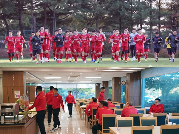 VFF thông báo - cấm ghi hình đội tuyển Việt Nam thi đấu ở Hàn Quốc