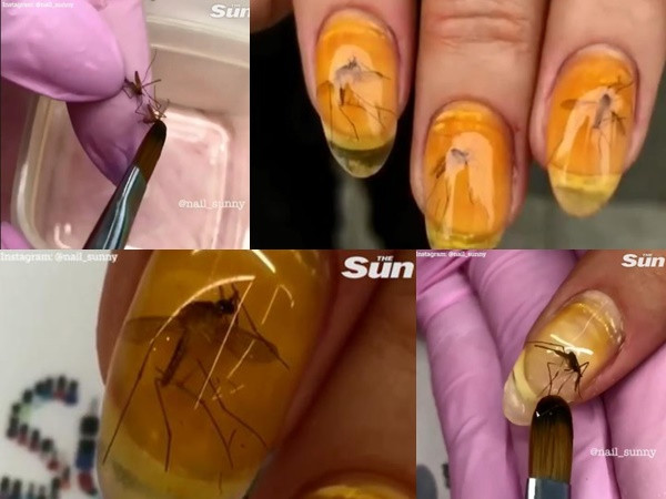 Sơn móng tay bằng xác chết côn trùng - ý tưởng làm đẹp không thể "dị" hơn!