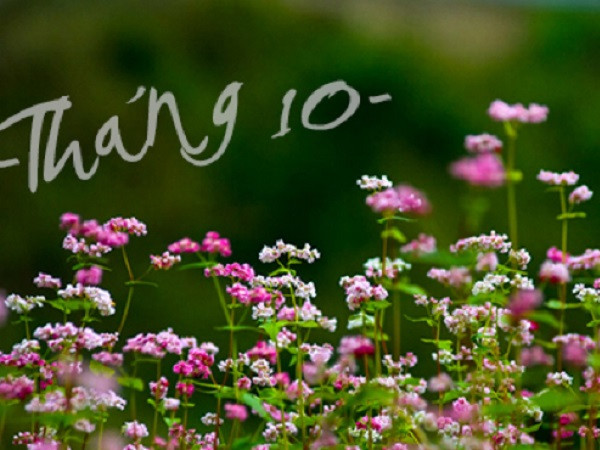 Trong tuần đầu tiên của tháng 10, đây là từ khóa thú vị nhất lọt Top BXH tìm kiếm của Google 