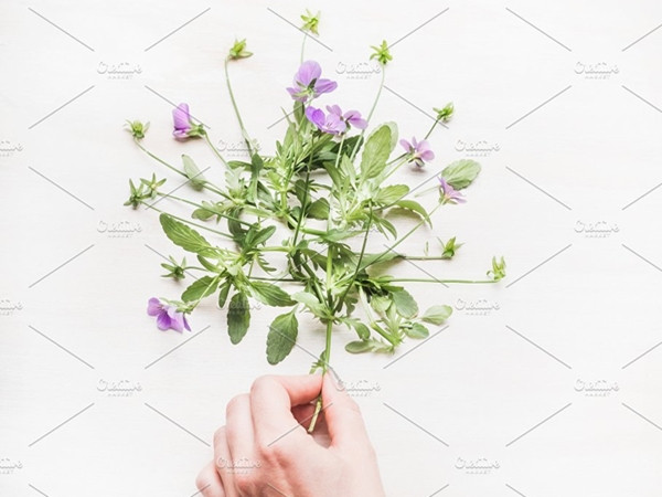 Sức mạnh của những điều bé nhỏ mà tất cả chúng ta đều có thể làm