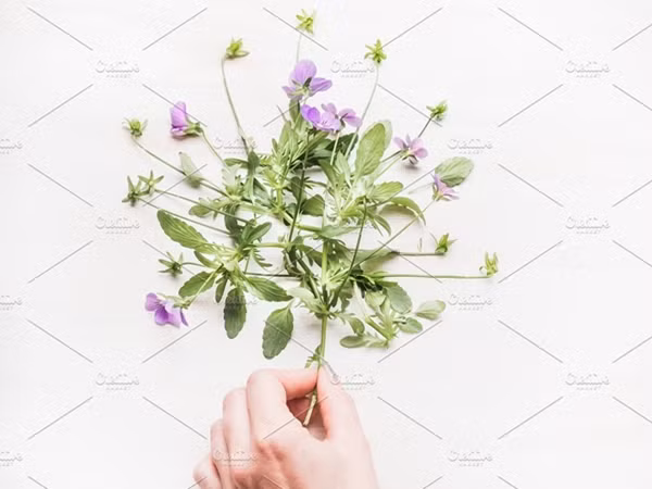 Sức mạnh của những điều bé nhỏ mà tất cả chúng ta đều có thể làm