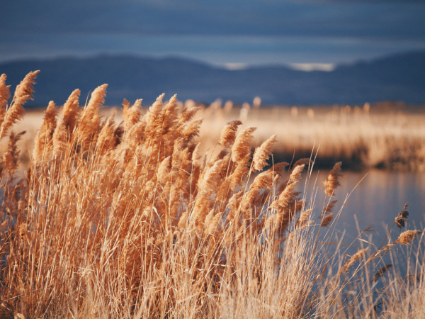 Những mốc thời gian hạnh phúc: Về với sông