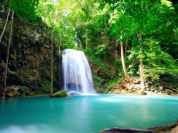 Khám phá bản thân: Hãy đi bộ vào rừng thẳm, chuyến đi sẽ nói lên tính cách của bạn!