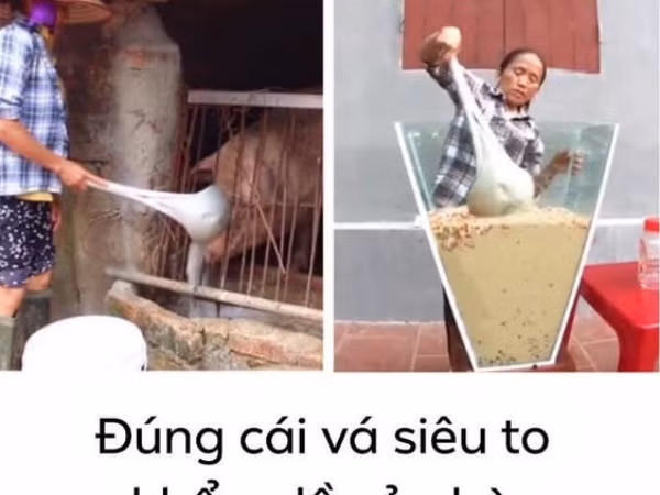 Nghi án Bà Tân Vlog dùng cùng 1 chiếc muỗng để cho heo ăn và… khuấy trà sữa