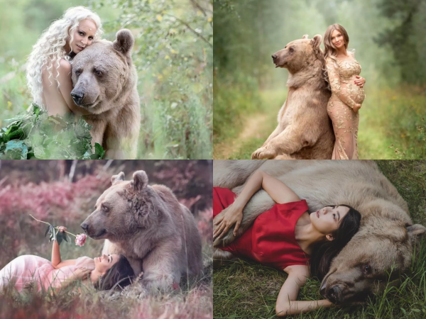 Bị chỉ trích vì ăn bám bố mẹ nuôi suốt 25 năm, chú gấu quyết định đi "bán thân nuôi mình"